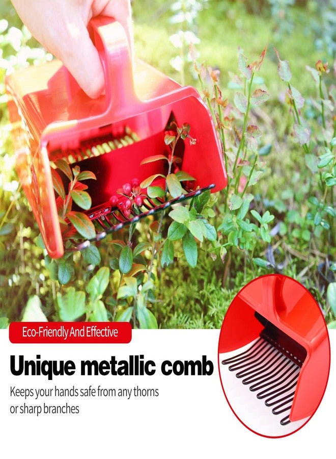 DkOvn قطّافة توت، ومجارف توت مزودة بمشط معدني ومقبض مريح لسهولة قطف التوت، ومجرفة مجرفة للتوت الأزرق، والتوت البري - Image 3