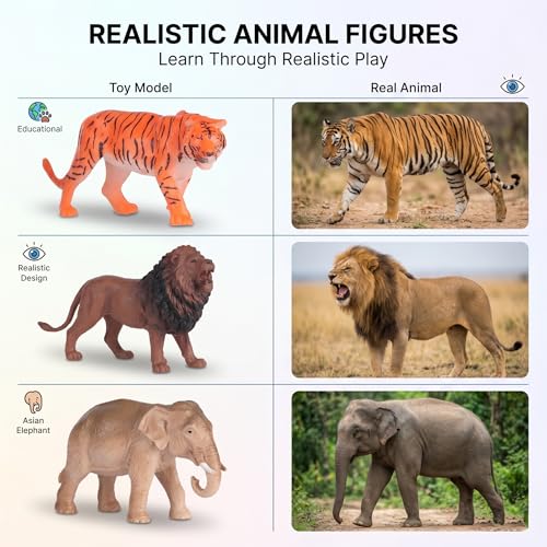 Bzkid Wild Animal Toy Set for Kids | 12 Pcs Realistic Jungle Animal Figurines | Educational Safari Animal Models for Boys & Girls | Zoo Wildlife Plastic Animals for Pretend Play & Learning - Image 4