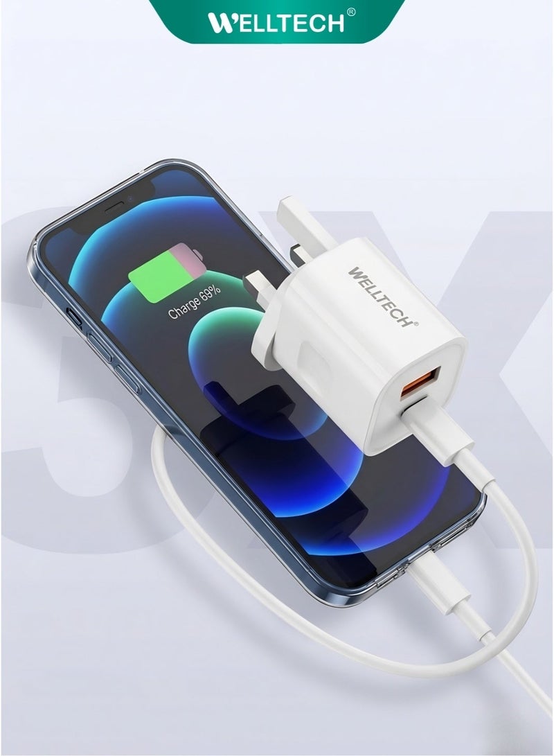 WELLTECH 38W Fast Charger USB C PD QC3.0 Power Adapter Dual Port Wall Charger Fast Charging for iPhone Samsung Android Compact Travel Charger WELLTECH HC12 - Image 2