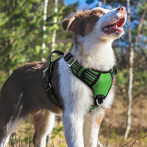 Doggo Bite Premium Reflective Dog Vest Harness| Soft Breathable| Padded Handle| Adjustable Straps & Luxury Buckle| No-Choke with Free Designer Leash-19mm| Chest (13-22 inch) All Small Breeds 4-13 Kg - Image 5