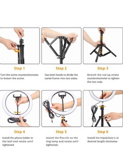 DIGI CORE 10 inch Ring Light With Tripod Stand And 360° Phone Holder For Live Broadcast Youtube Instagram And Tik Tok Video Making  - Image 2