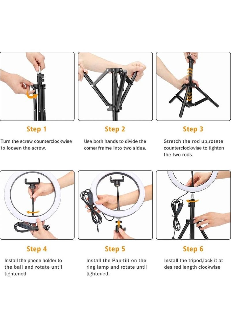 DIGI CORE - 10 inch Ring Light With Tripod Stand And 360° Phone Holder For Live Broadcast Youtube Instagram And Tik Tok Video Making - Image 1