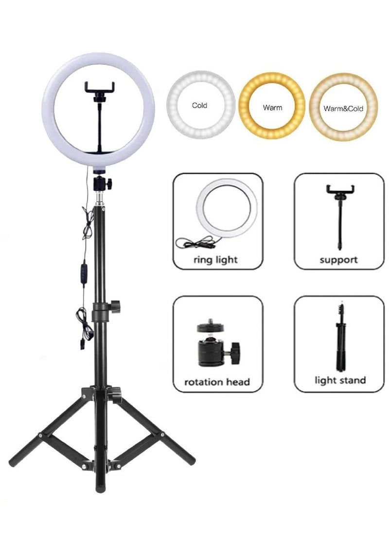 DIGI CORE - 10 inch Ring Light With Tripod Stand And 360° Phone Holder For Live Broadcast Youtube Instagram And Tik Tok Video Making - Image 1