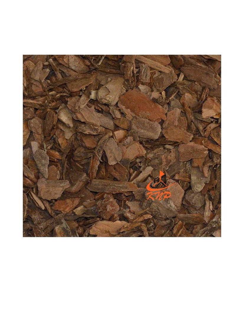 كنب نشارة لحاء الصنوبر لكل كجم - Image 1