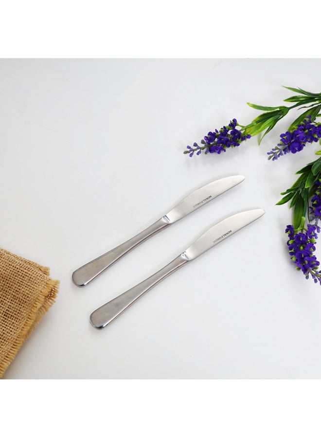 Royalford 2-Piece Table Knife Set Silver - Image 4