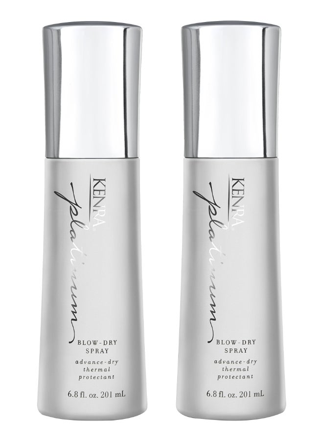 Kenra Professional Platinum BlowDry Spray TimeSaving Heat Protectant Detangles Smooths and Softens Eliminates Frizz Resists Humidity Medium To Coarse Hair 68 fl oz 2Pack - Image 3