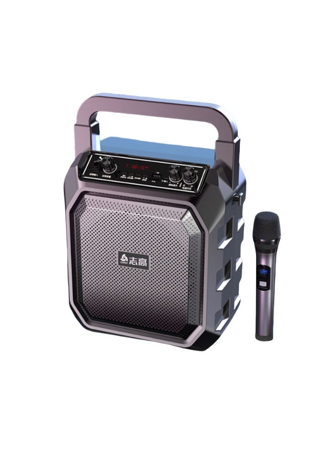 EBMINI Microphone Bluetooth Speaker With Microphone Singing Speaker All-In-One Machine