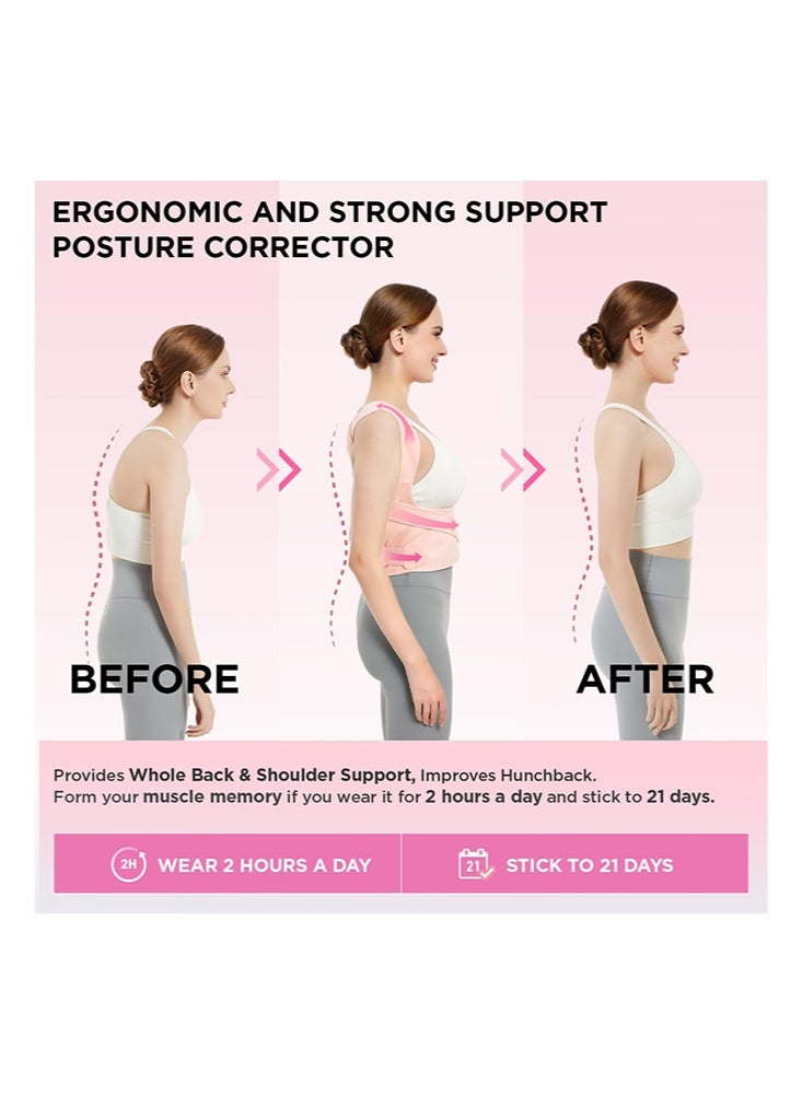 حزام دعم الظهر ومصحح وضعية قابل للتعديل للنساء والرجال، لتقويم الظهر والجنف والحداب، مدرب دعم العمود الفقري وتخفيف آلام الظهر - وردي - Image 5