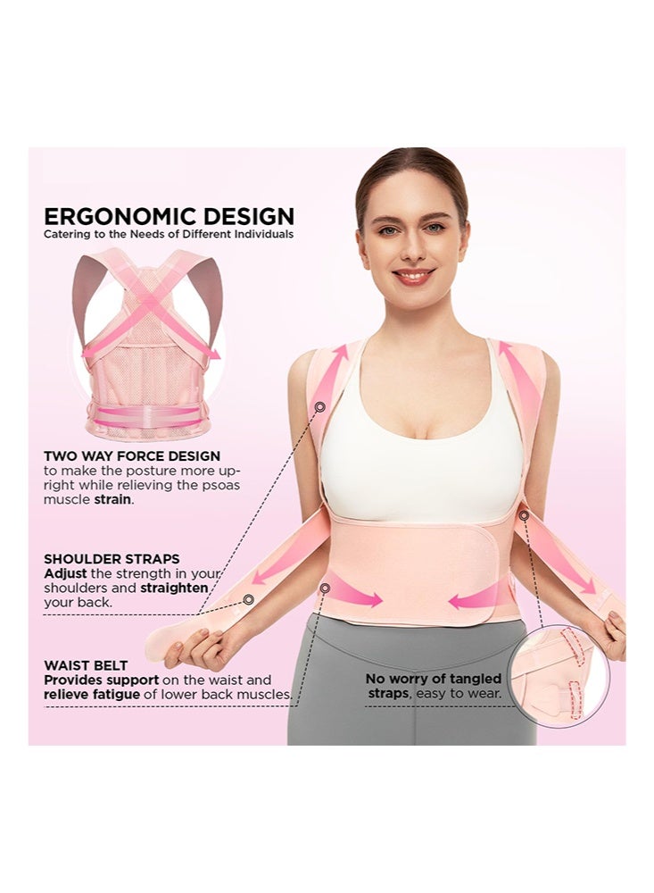 حزام دعم الظهر ومصحح وضعية قابل للتعديل للنساء والرجال، لتقويم الظهر والجنف والحداب، مدرب دعم العمود الفقري وتخفيف آلام الظهر - وردي - Image 4