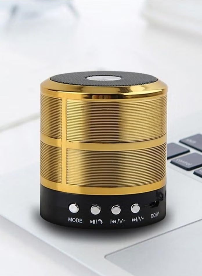 Mini Portable WS-887 Wireless Bluetooth Speaker with FM And Micro-SD Card Slot for All Smartphones Gold - Image 1