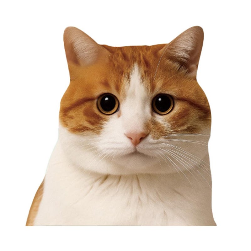 Cute and funny cat emoji stickers - Image 1