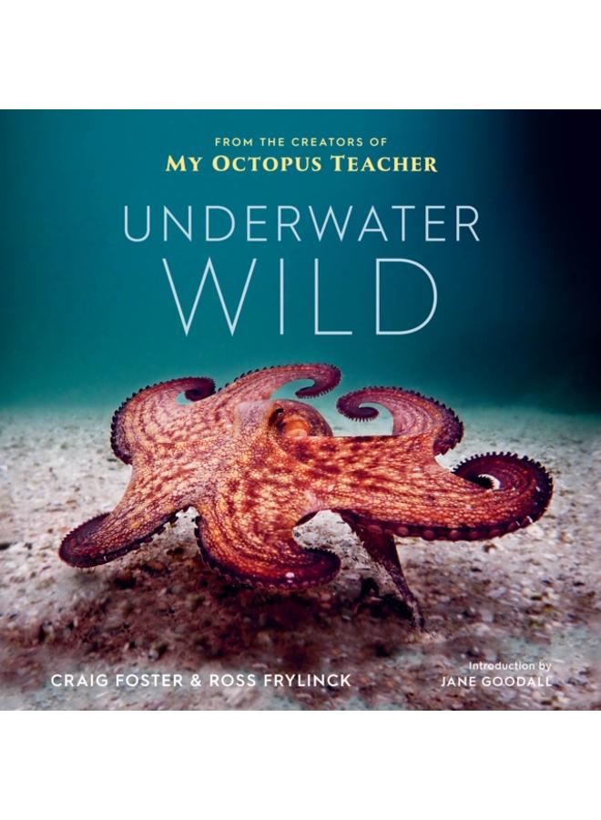 Underwater Wild : My Octopus Teacher's Extraordinary World