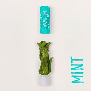 Benecos benecos Mint Lip Balm Moisturizing Hydrating Mint Flavor Organic 1 Count  - Image 2