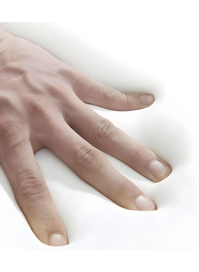 Ripple FURNITURE UAE Homes Modern Sofa with Wooden Frame, Foam-Filled Seat, Square Arms (Brown) - Image 2