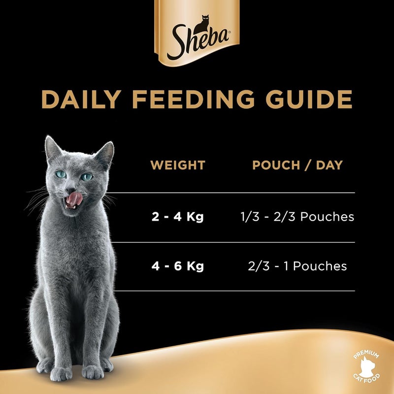 Sheba Premium Chicken Wet Cat Food, 12 Pack of 70g - Image 5