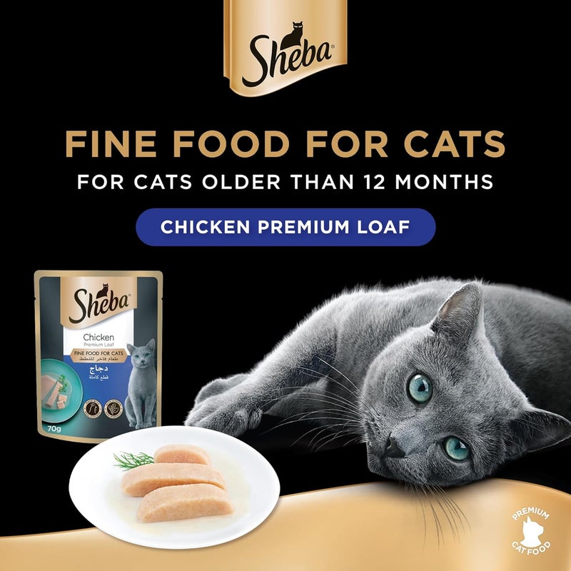 Sheba Premium Chicken Wet Cat Food, 12 Pack of 70g - Image 2