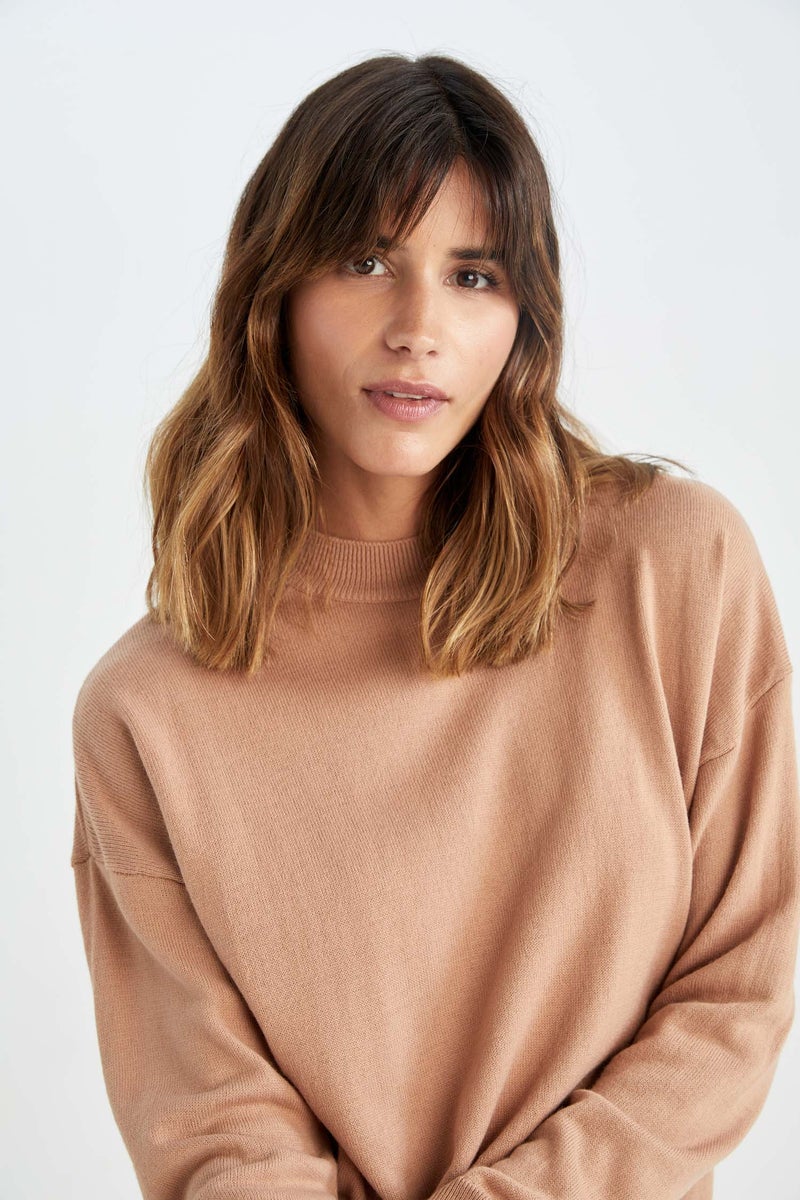Woman Regular Fit Half Turtleneck Tunic