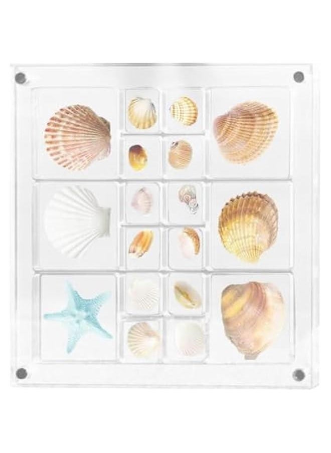 Generic Seashell Storage Box Display Case Decorative Seashell Starfish Trinket,Large Size Seashell Storage Box | Acrylic Magnetic Seashell Display Box,Display Case Acrylic Seashell Storage Box  - Image 1