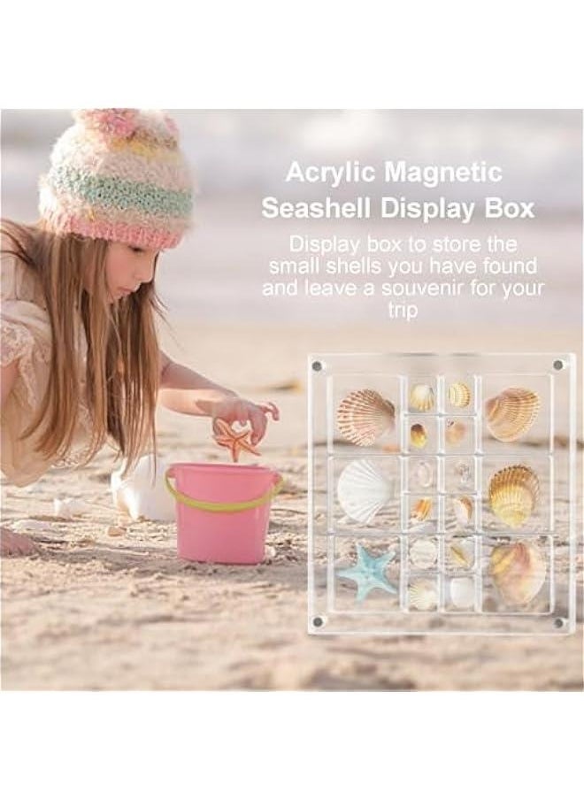 Generic Seashell Storage Box Display Case Decorative Seashell Starfish Trinket,Large Size Seashell Storage Box | Acrylic Magnetic Seashell Display Box,Display Case Acrylic Seashell Storage Box  - Image 2