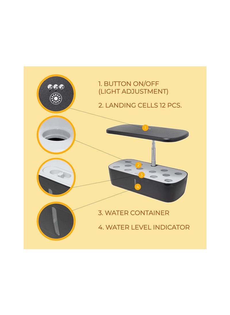 WMC TOOLS LED Light Hydroponic System for Home with Phytolamp (139 LED Grow Light, 20W, 12 Cells) with Circulation System and Water Level Indicator, 3 Lighting Modes for Plants in Potting Soil - pzsku/ZF81C9BC0251D93953D99Z/45/_/1666007840/bfbebf21-bff4-405c-aa4a-060a9b181f5e