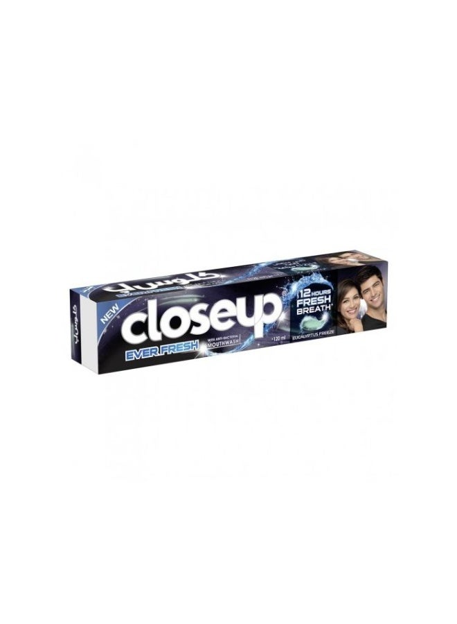 CLOSE UP Toothpaste Eucalyptus Freeze 120ml