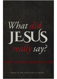 What Did Jesus Really Say  - Image 3