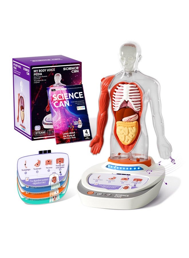 ساينس كان نموذج جسم الإنسان من ساينس كان للأطفال، نموذج تشريحي بشري تفاعلي يتحدث - مجموعة تجميع تشريحية واقعية مقاس 11 بوصة، 15 قطعة من الأجزاء القابلة للإزالة ودليل، ألعاب تعليمية STEM للأطفال من سن 6 سنوات فما فوق، هدايا - Image 1