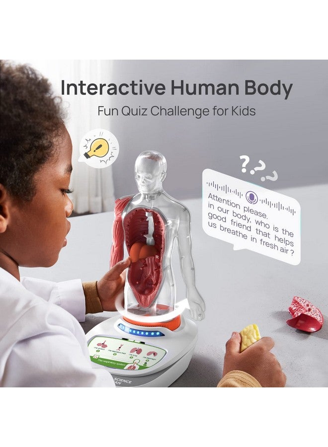 ساينس كان نموذج جسم الإنسان من ساينس كان للأطفال، نموذج تشريحي بشري تفاعلي يتحدث - مجموعة تجميع تشريحية واقعية مقاس 11 بوصة، 15 قطعة من الأجزاء القابلة للإزالة ودليل، ألعاب تعليمية STEM للأطفال من سن 6 سنوات فما فوق، هدايا - Image 3