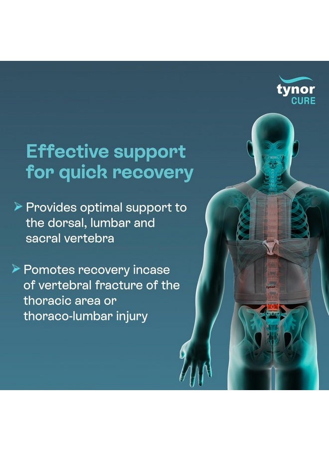 Tynor TYNOR Taylor's Brace Short, for Lower Back Pain Relief & Posture Correction | Short Brace for Daily Comfort for Men & Women | Tailbone Back Posture Corrector, Universal Size (Grey, 1 Unit)  - Image 2