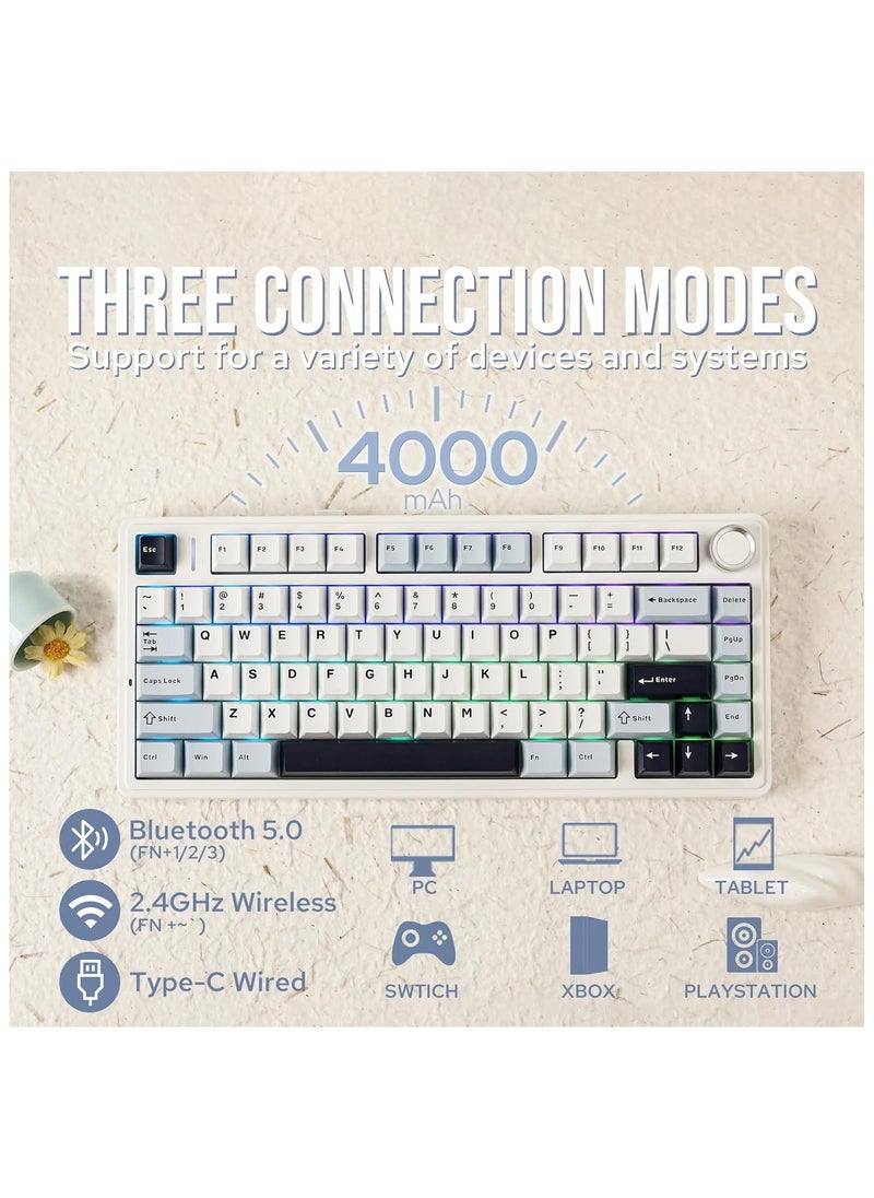AULA - AULA F75 Gasket Mechanical Keyboard, 75% Wireless Hot Swappable Gaming Keyboard with Five-Layer Padding&Knob, Bluetooth/2.4GHz/USB-C, RGB (Light Blue, LEOBOG Reaper Switch) - Image 1