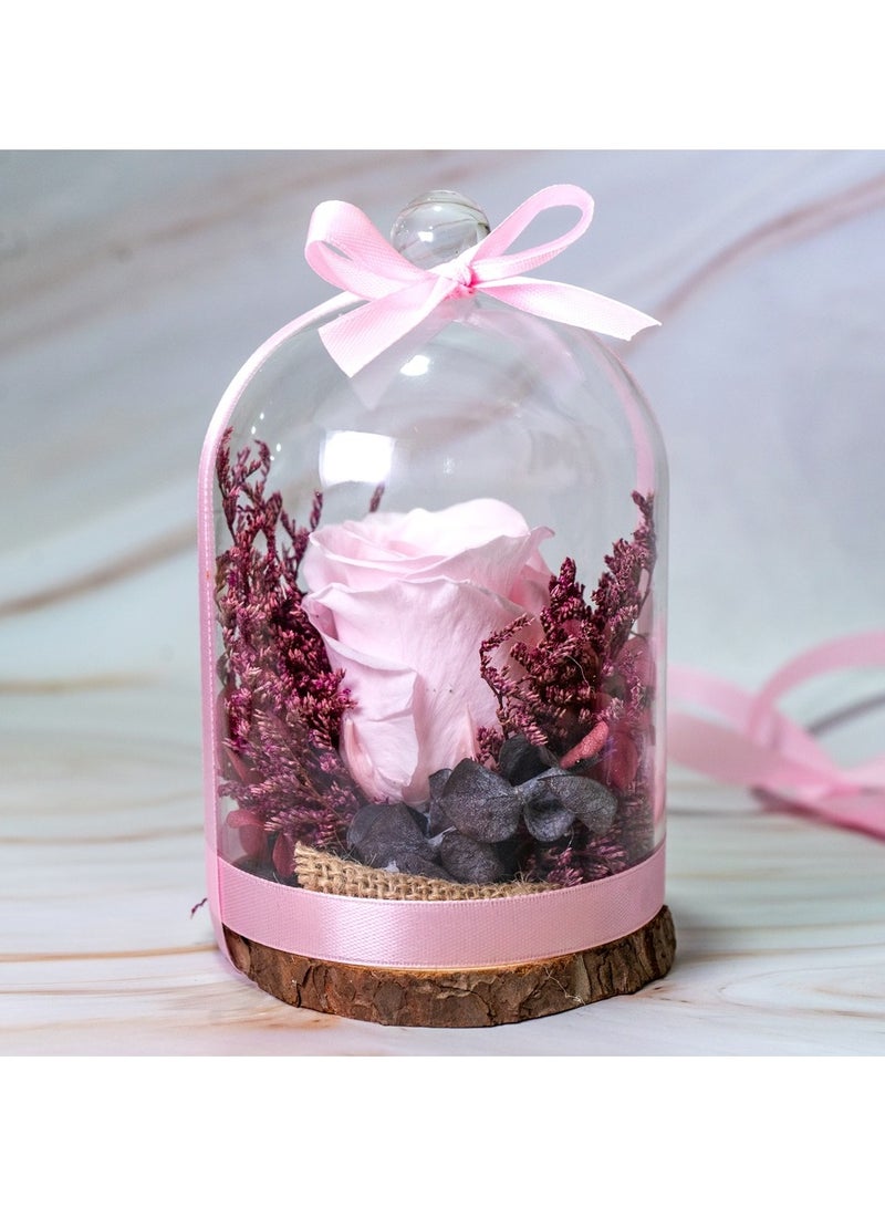   صوفيا طبيعة مجموعة قبة روز إنفينيتي - Image 4