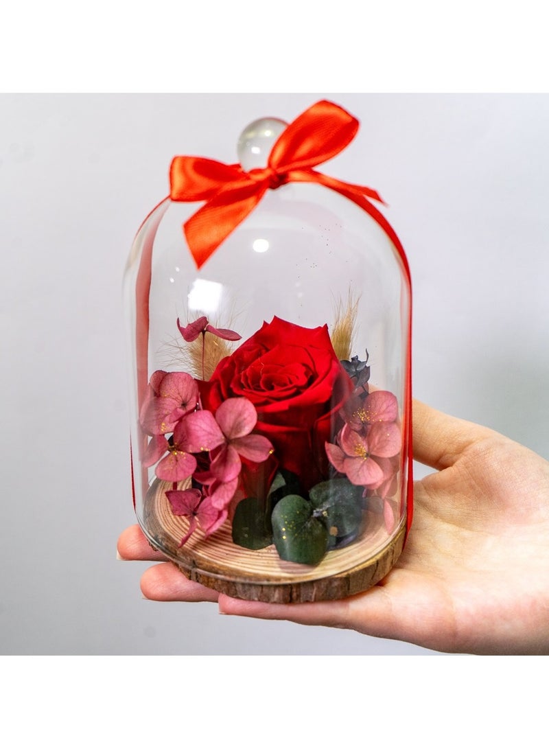   صوفيا طبيعة مجموعة قبة روز إنفينيتي - Image 5