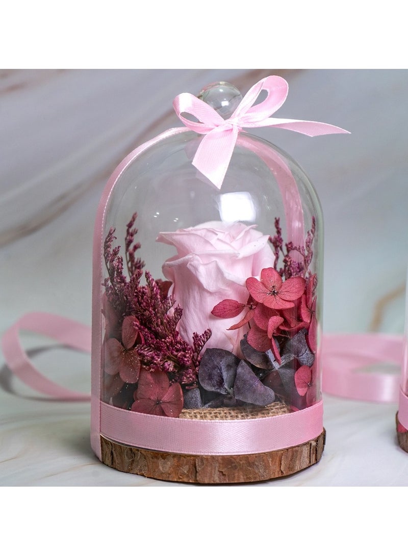   صوفيا طبيعة مجموعة قبة روز إنفينيتي - Image 1