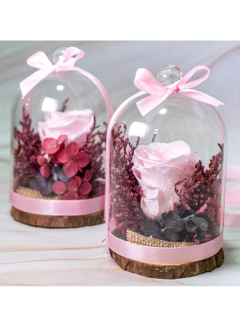   صوفيا طبيعة مجموعة قبة روز إنفينيتي - Image 3