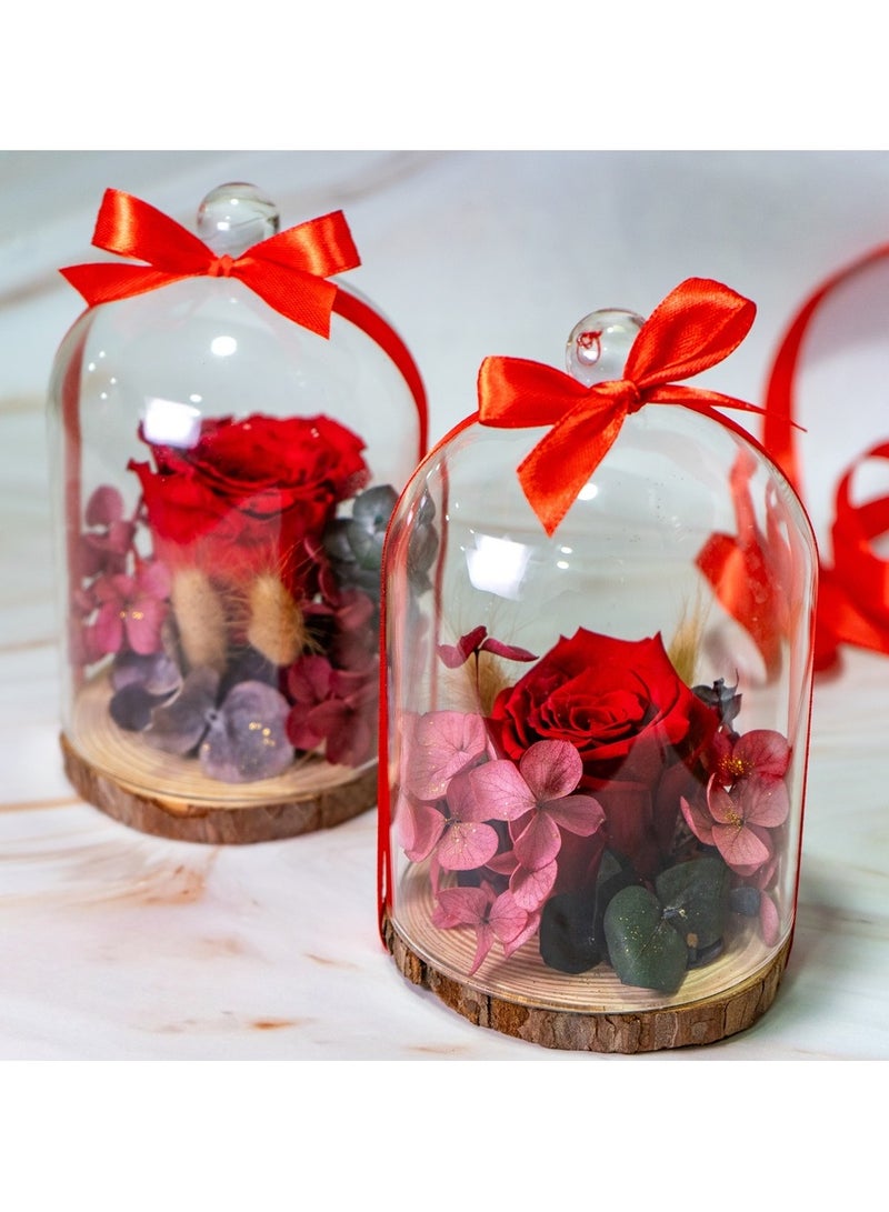   صوفيا طبيعة مجموعة قبة روز إنفينيتي - Image 2