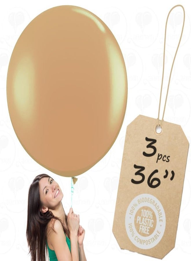 Balloon Red AFTERLOON® Biodegradable Balloons 3 pcs 36 Inch Orb Perfect Round Giant Extra Large Beige, Thickened Strong Natural Latex Jumbo XL Big Helium Float, Gender Reveal Kids Birthday Party Decorations - Image 1