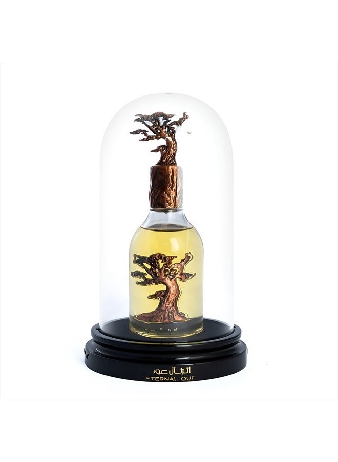 Lattafa عطر برايد إترنال عود للجنسين بخاخ أو دو بارفان، 3.4 أونصة / 100 مل - Image 3