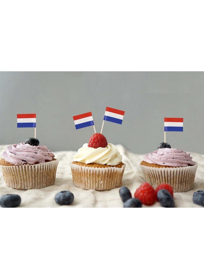 QQSD 100 Pcs Netherlands Flag Toothpicks, Holland Cupcake Toppers Decorations, Mini Dutch Cocktail Pick Sticks, Cake Topper Picks - Image 3