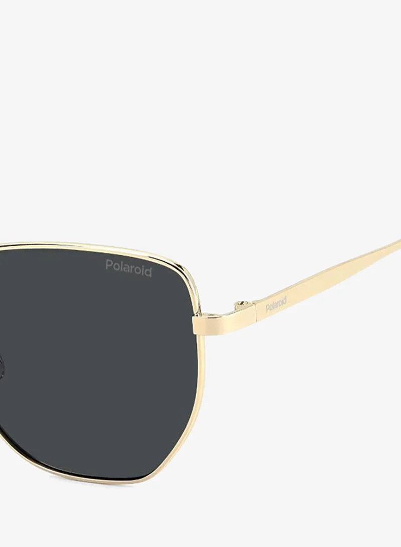 Polaroid  Square Geometrical Sunglasses for Women | Best Price UAE