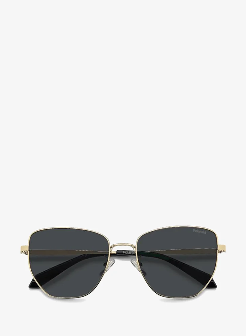 Polaroid  Square Geometrical Sunglasses for Women | Best Price UAE