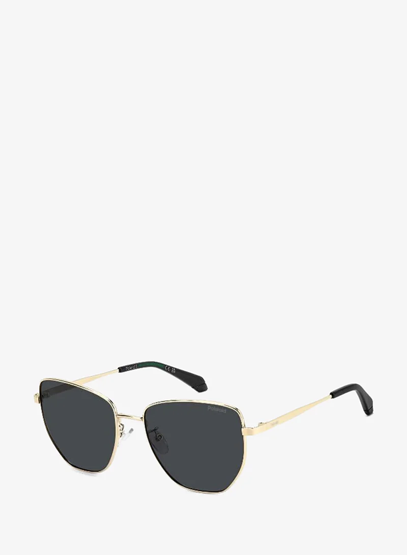Polaroid  Square Geometrical Sunglasses for Women | Best Price UAE