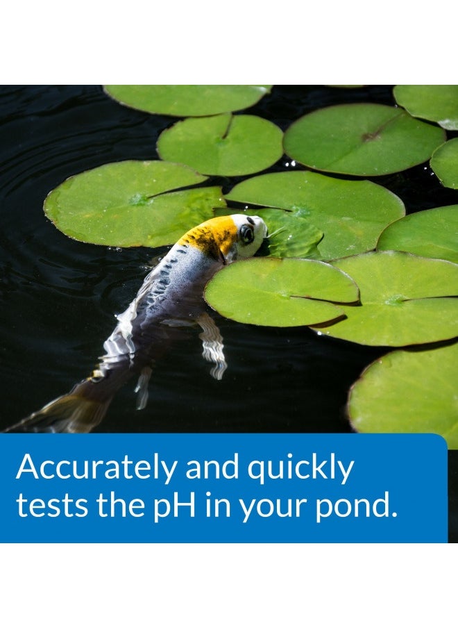 API Api Pond Wide Range Ph Test Kit 160-Test Pond Water Test Kit  - Image 5