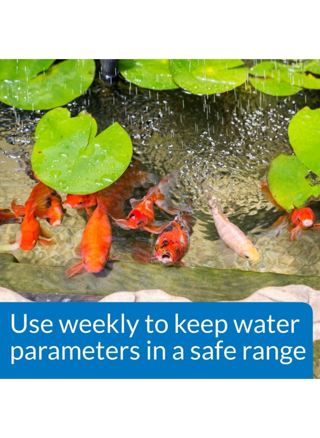 API Api Pond Wide Range Ph Test Kit 160-Test Pond Water Test Kit  - Image 2