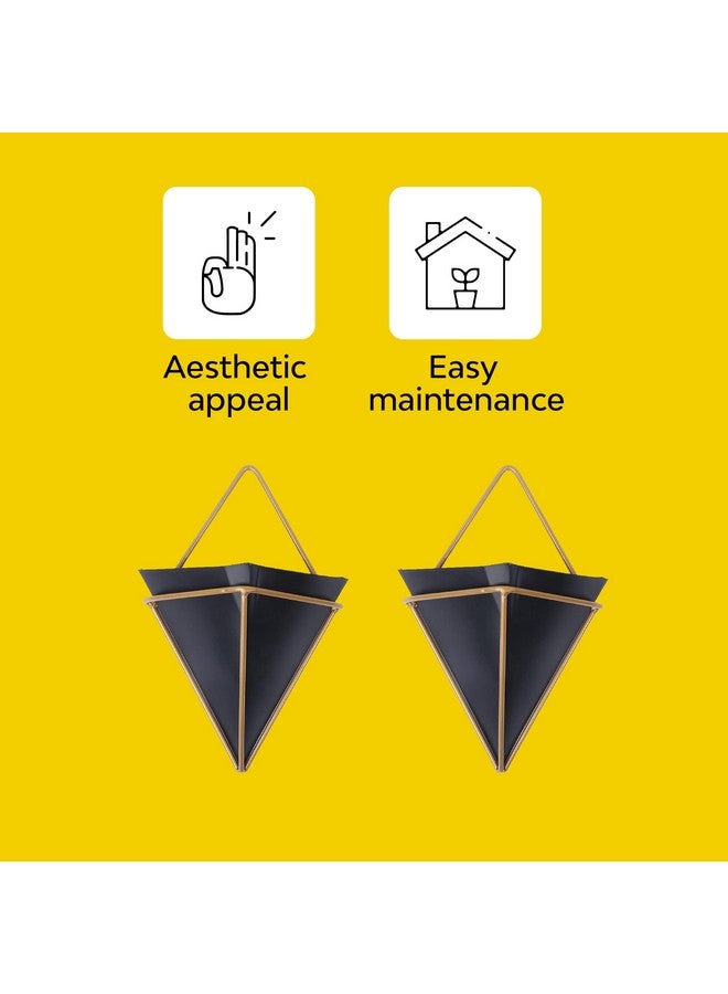Kraft Seeds Kraft Seeds by 10CLUB Hanging Metal Planters (Black, Pack of 2) | Inverted Pyramid-Shaped Pots for Indoor Gardening and Home Decor | Wall Mountable Triangular Planters with Gold Frame - Image 3