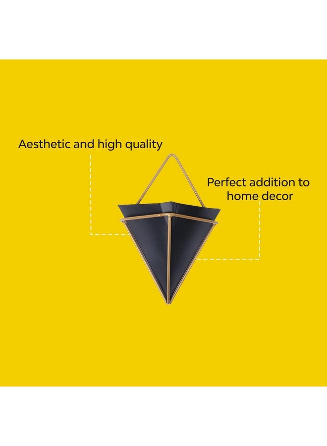 Kraft Seeds Kraft Seeds by 10CLUB Hanging Metal Planters (Black, Pack of 2) | Inverted Pyramid-Shaped Pots for Indoor Gardening and Home Decor | Wall Mountable Triangular Planters with Gold Frame - Image 5