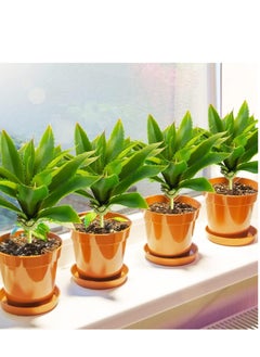 4 Pcs Artificial Succulents Plants Large Fake Faux Unpotted Leaves Realistic Aloe Plant DIY Crafting Greenery Indoor Decor for Home Wedding Party Wall Festival Office