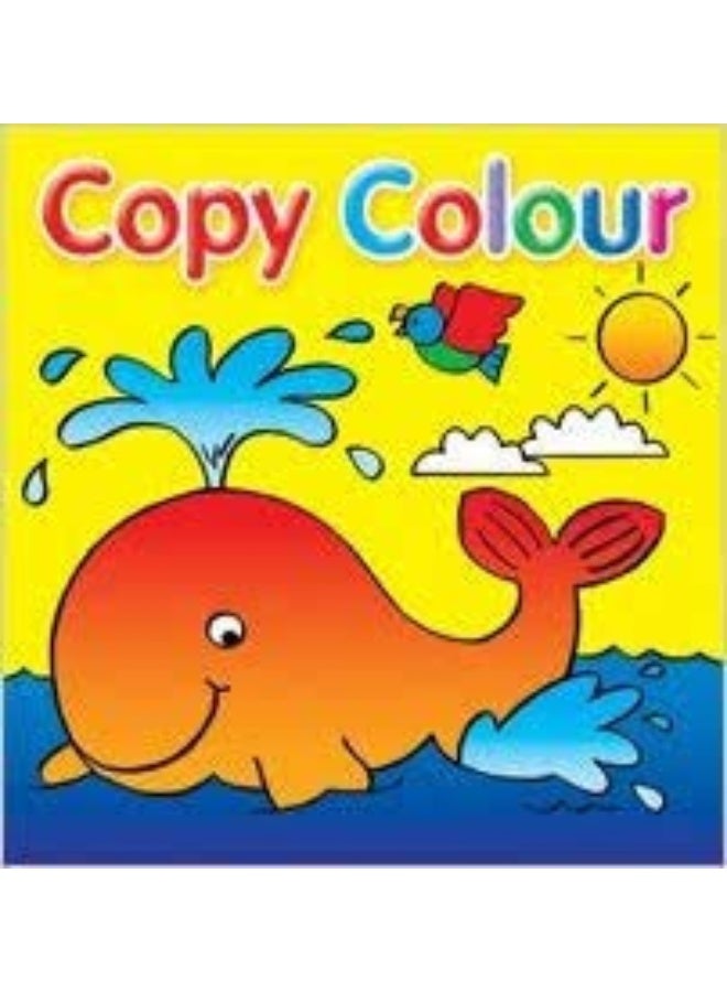 Copy Colour  - Image 2