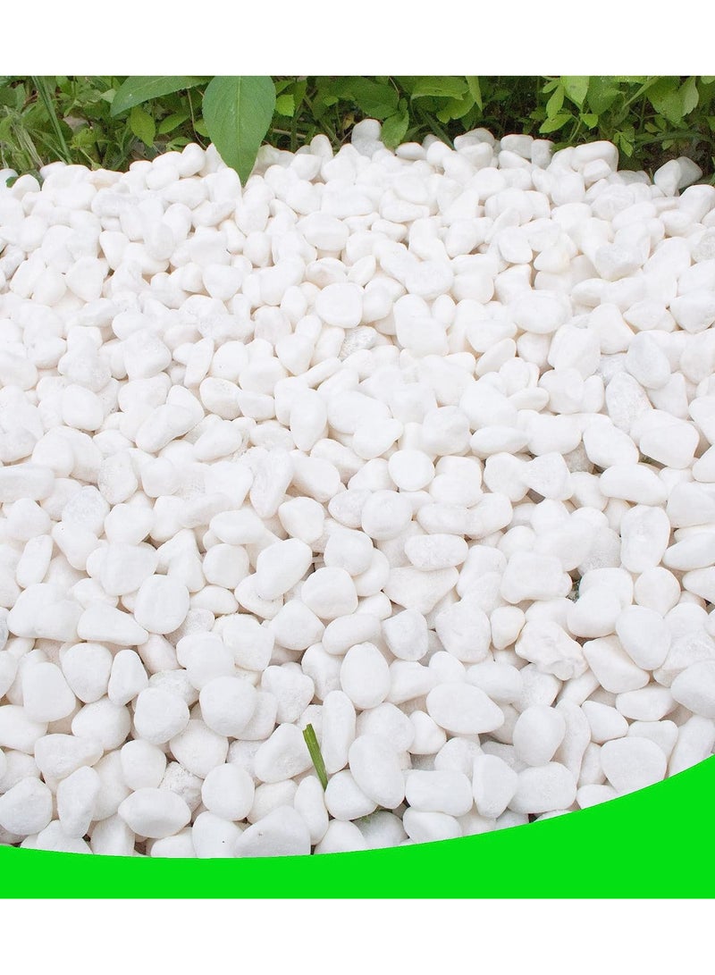 Decorative White River Stones 2kg - Image 1