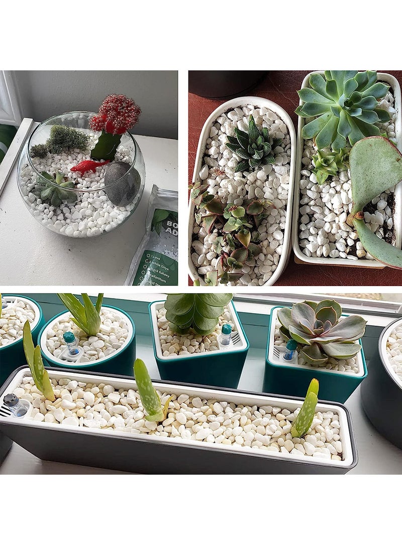 Decorative White River Stones 2kg - Image 3