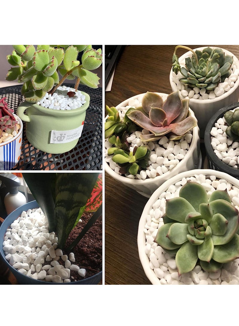 Decorative White River Stones 2kg - Image 4